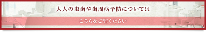 大人の虫歯や歯周病予防についてはこちらをご覧ください